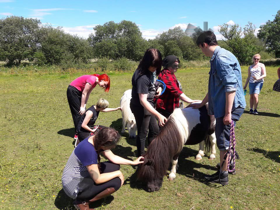 Young people and a pony at Mossburn Community Farm