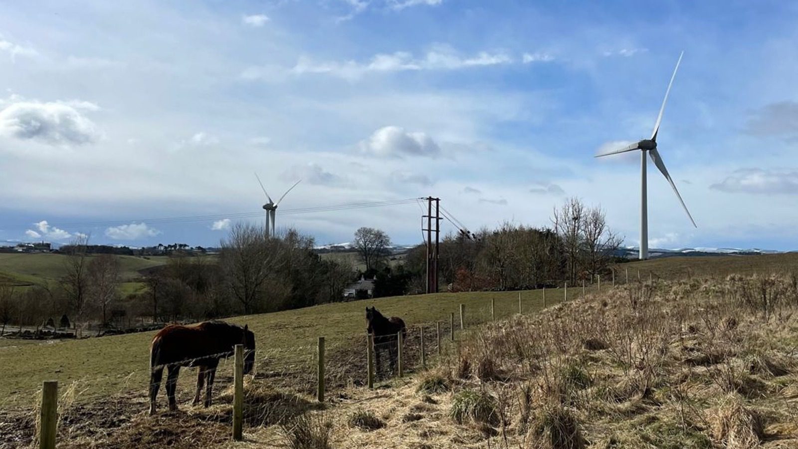 Two wind turbines at Binn Eco Park; horses graze in the foreground.